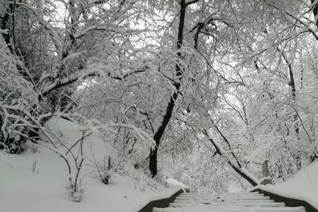 雪中行歌词是什么意思