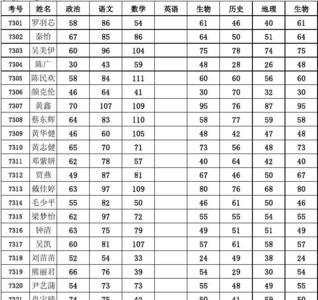 初一中考成绩多少才算正常