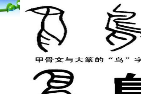 与碰同音的汉字