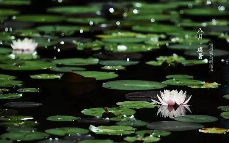 夜夜绿窗风雨断肠君信否意思