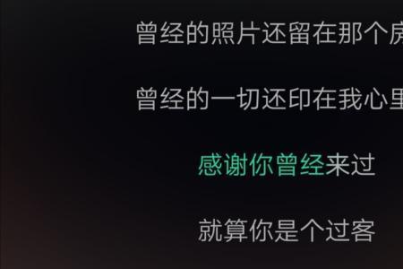 这世界我曾经来过是什么歌