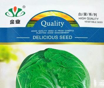 金秋68白菜品种好吗