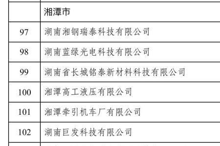 湖南小巨人企业名单