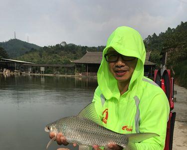 船长1号3号7号小药钓鲤鱼怎么样