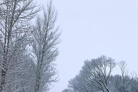 白雪飘飘是成语吗