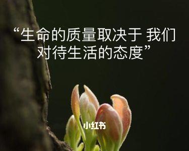 什么样的人生态度算认真