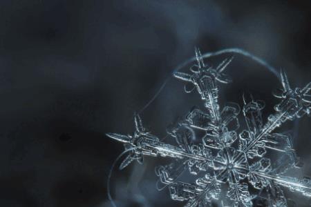 雪花为什么是八个花瓣