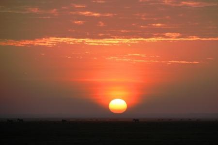 太阳从地平线升起歌词