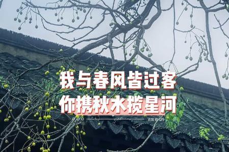 我与秋风皆过客诗句赏析