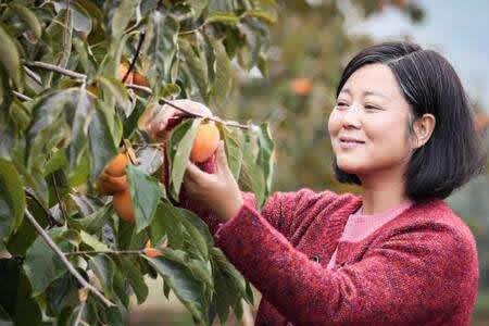 年年岁岁柿柿红结局几个孩子