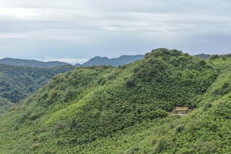 大山怎么算亩数