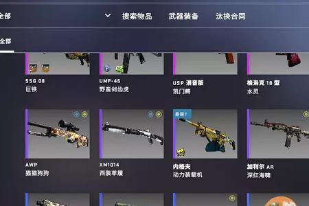 csgo国服全称