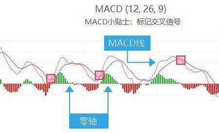 时正是什么意思