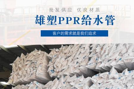 ppr水管可以承受10个压力吗