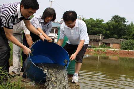 水产养殖中阴天下雨能泼双氧吗