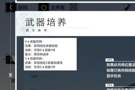 战双帕弥什自选s武器选什么