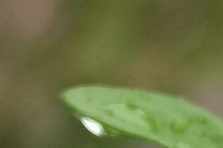 秋雨是晶莹剔透的续写