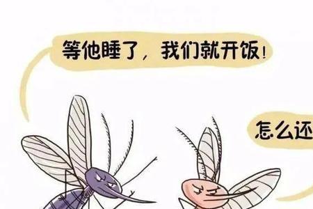 为什么蚊子不绕着小孩头顶飞