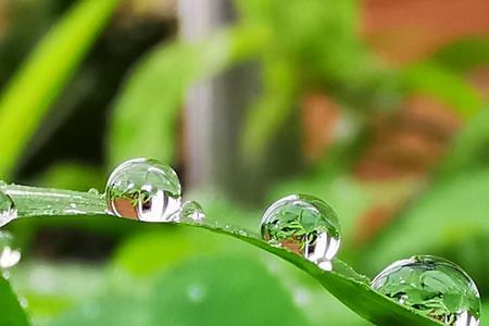 猜雨后的心情