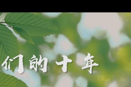 我们这十年共几部分