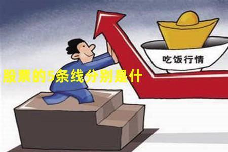 五组线是什么意思啊