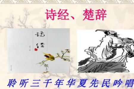 诗经中兮的意思