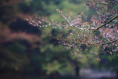 寒雨潇潇意思