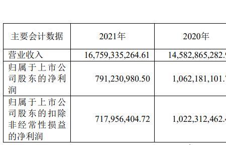 扣非归母净利是什么