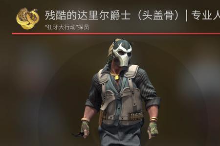 csgo有大金表的角色