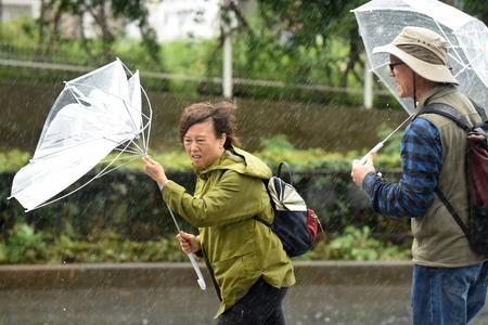 冒雨前行的句子