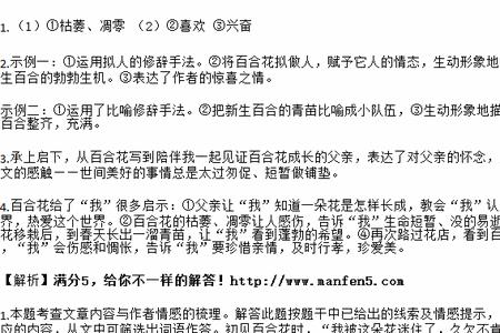 白荷短文中的大盘子指什么