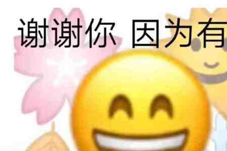 我谢谢你全家啥意思