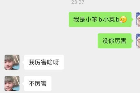 进仕什么意思啊