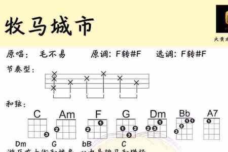 牧马城市歌词是什么意思