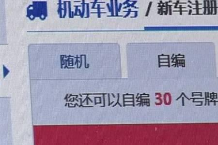 新能源预选号码可以换吗