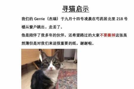 寻猫启事，启事是什么意思