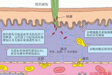 ten和teng的区别