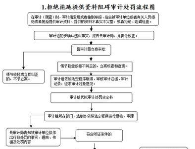 审计不合格怎么处理