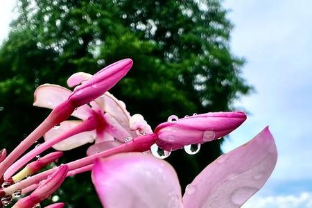 雨后喜欢干什么