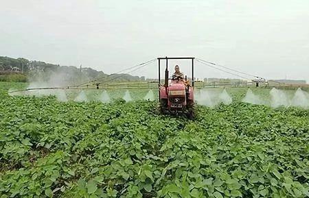 水田改种大豆有药害吗