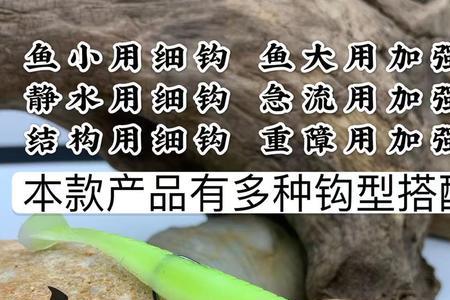 内德钓组可以钓翘嘴吗