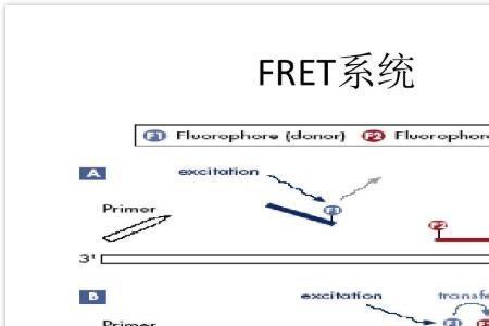 pcr延伸为什么是5到3