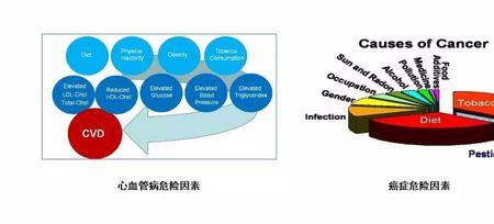 不可控因素有哪些