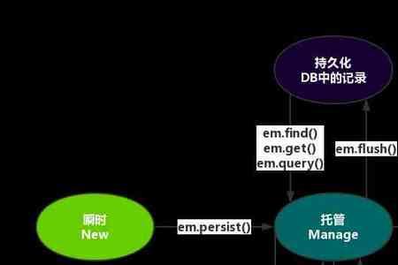 生存发展的四种状态