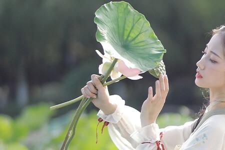 女主名叫邹芸湘的重生小说