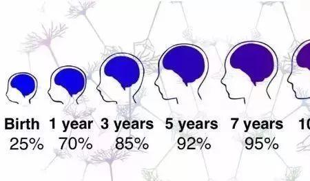 大脑突触形成的关键期