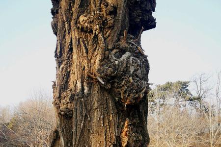 岁月抖落一地沧桑什么意思