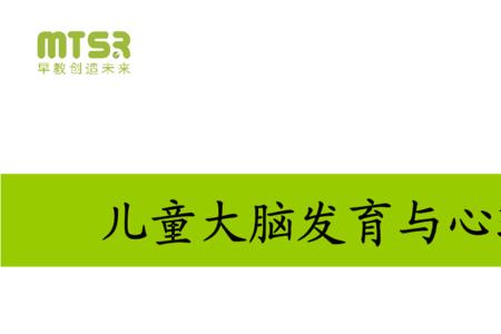 人不同年龄阶段大脑发展特点