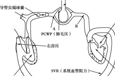 frankstarling机制是什么