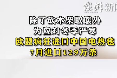 中国电热毯谁发明的